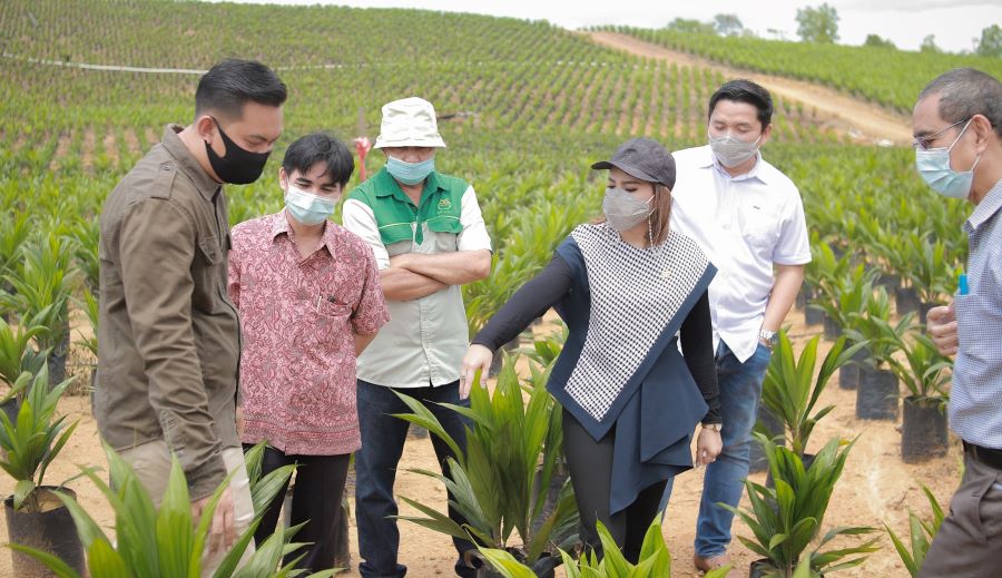 Program PSR Melawi Diharapkan Capai Target 500 Ha